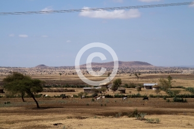 landscape of masai village near arusha in tanzania
