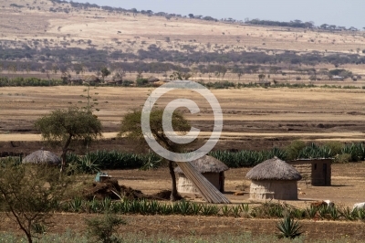 landscape of masai village near arusha in tanzania