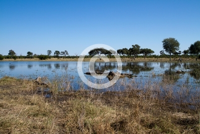 nature of the okavango delta in botswana