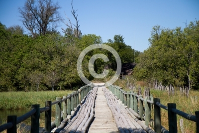 wooden bridge in the okavango delta
